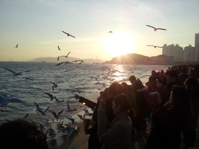 Haeundae With Guesthouse