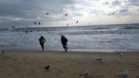 Haeundae With Guesthouse