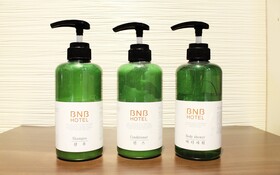 Hotel BNB Business & Boutique