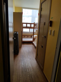 Huy+ Guesthouse