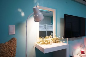 Mint Paradise Guest House