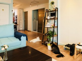 Mint Paradise Guest House