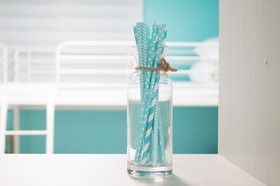 Mint Paradise Guest House