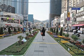 Sota Collection The Haeundae