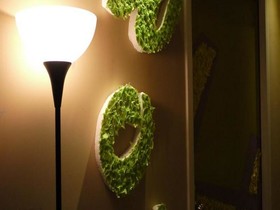 Wow Guest House Hostel