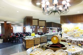 Hotel International