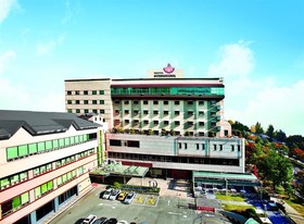 Hotel International