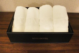 Hotel Mvg