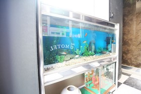 Cheonan Some