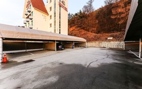 Cheongju Chojeongyaksu S