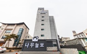 Cheongju Hotel Namuneulbo