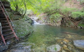 Chuncheon Byeolnim Dalnim Pension