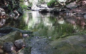 Chuncheon Byeolnim Dalnim Pension