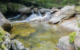 Chuncheon Byeolnim Dalnim Pension