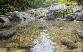 Chuncheon Byeolnim Dalnim Pension