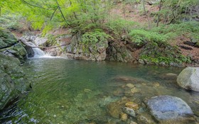 Chuncheon Byeolnim Dalnim Pension
