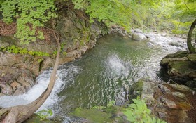 Chuncheon Byeolnim Dalnim Pension