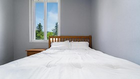 Chuncheon Dogandstay