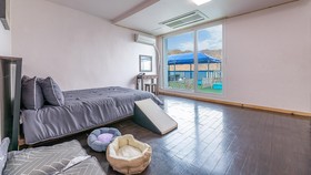 Chuncheon Dogandstay