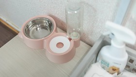 Chuncheon Dogandstay