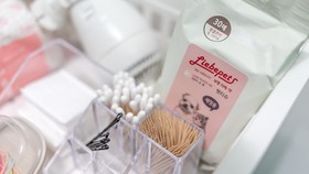 Chuncheon Dogandstay