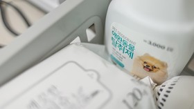 Chuncheon Dogandstay