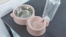 Chuncheon Dogandstay