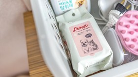 Chuncheon Dogandstay