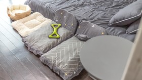 Chuncheon Dogandstay