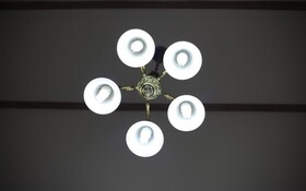 Chuncheon Pet Island Pension