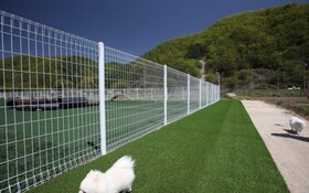 Chuncheon Pet Island Pension
