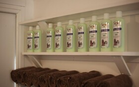 Chuncheon Pet Island Pension