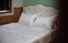 Chuncheon Pet Island Pension