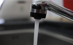 Chuncheon Pet Island Pension