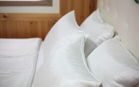 Chuncheon Pet Island Pension