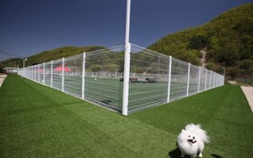 Chuncheon Pet Island Pension