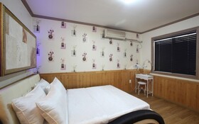 Chuncheon Pet Island Pension