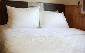 Chuncheon Pet Island Pension