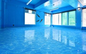 Chuncheon Pet Island Pension