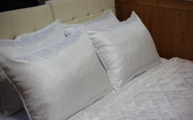 Chuncheon Pet Island Pension