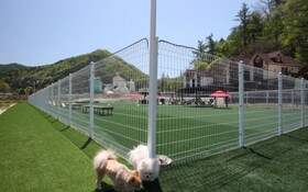 Chuncheon Pet Island Pension