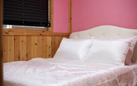 Chuncheon Pet Island Pension