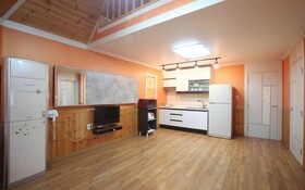 Chuncheon Pet Island Pension