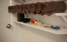 Chuncheon Pet Island Pension