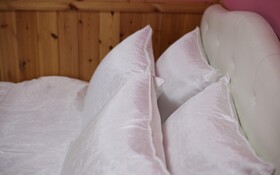 Chuncheon Pet Island Pension