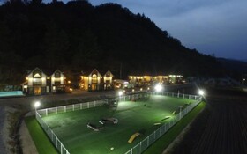 Chuncheon Pet Island Pension