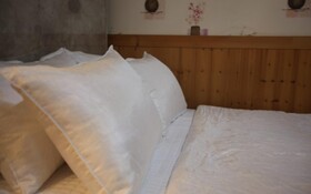 Chuncheon Pet Island Pension