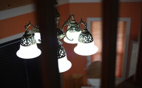 Chuncheon Pet Island Pension