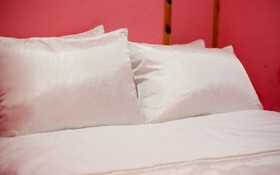 Chuncheon Pet Island Pension