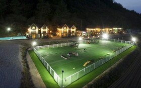 Chuncheon Pet Island Pension